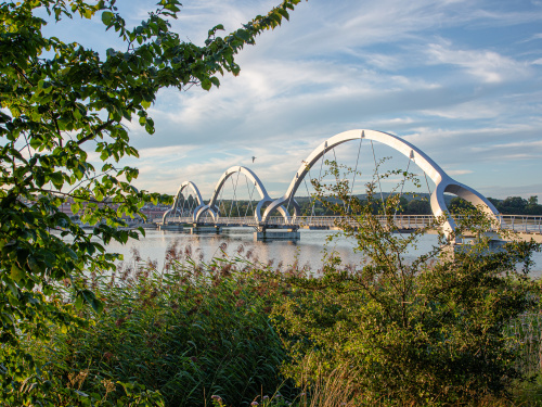 Miljö & Hållbarhet